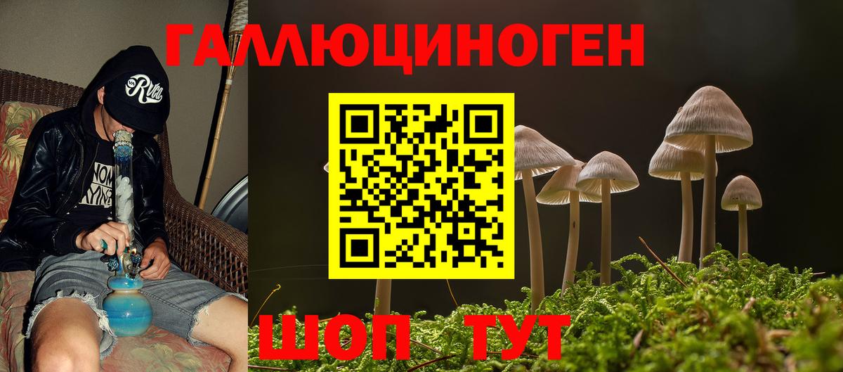 Галлюциногенные грибы Psilocybine cubensis  Вход с VPN  Минеральные Воды 